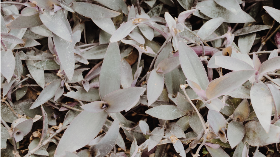 Sustainability Matters